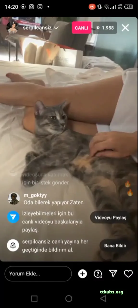 Serpil Cansız #Serpilcansız