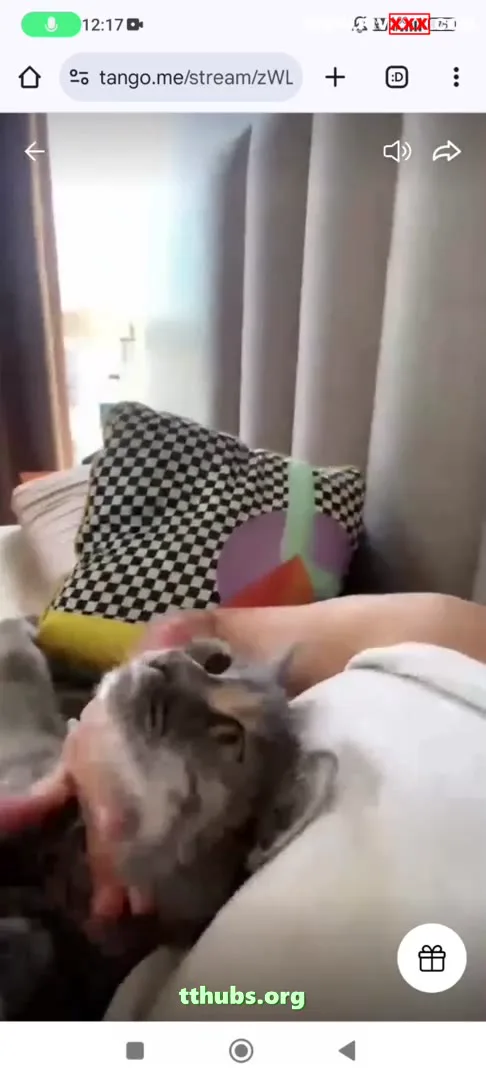 Serpil Cansız Amcığını Gösteriyor