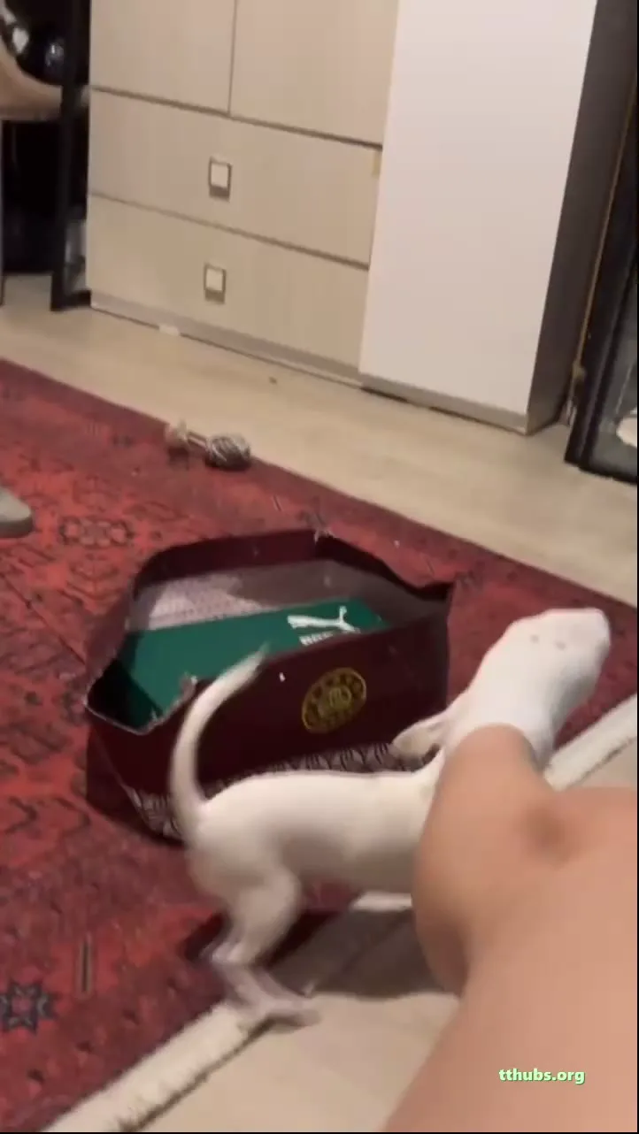 Feryali̇ Aboneli̇k 1 #Feryali̇aboneli̇k #Feryali̇ #Aboneli̇k