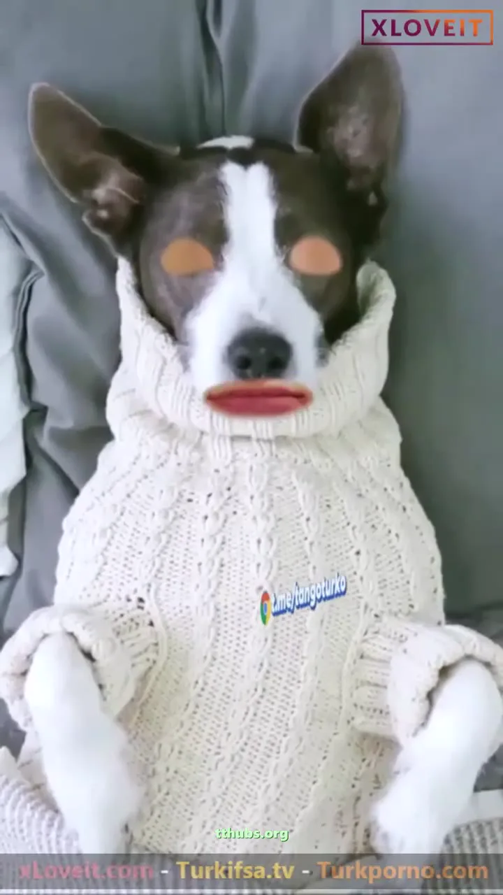 Türbanlı Ifşa Nutella Iç Çamaşırlı Yayın Yaptı