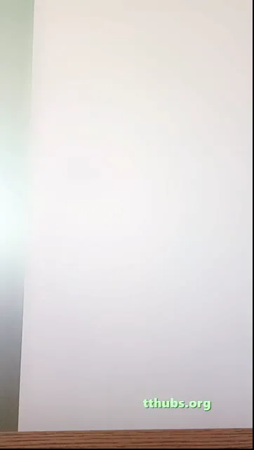 Serpil Cansız ( Devam )